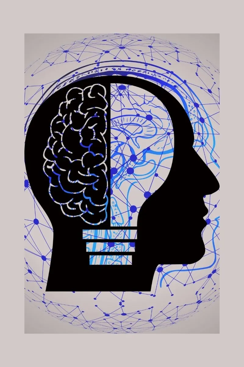 Elanyx Archives: (My) Layered Perspective: The Blessing, The Curse, and the Demanding Harmony